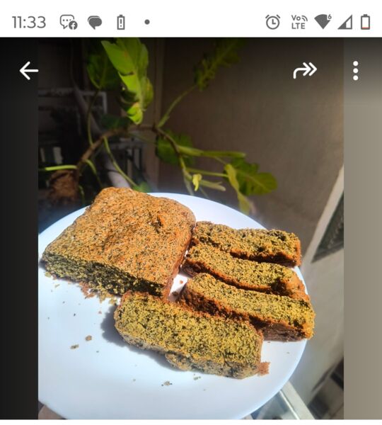 Mango Cake